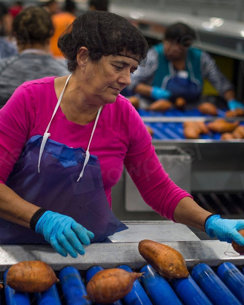 Alimentos y Agro